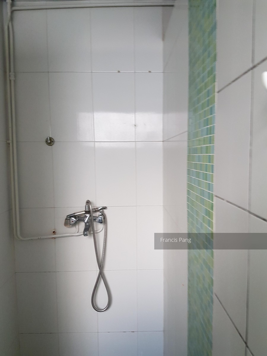 Vista Park (enbloc) (D5), Condominium #116458062